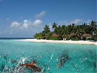 TopRq.com search results: Heaven on earth, French Polynesia