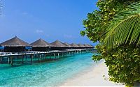 TopRq.com search results: Heaven on earth, French Polynesia