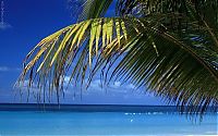 TopRq.com search results: Heaven on earth, French Polynesia