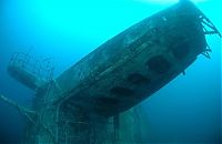 TopRq.com search results: artificial reef