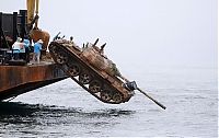 TopRq.com search results: artificial reef