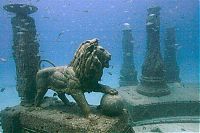 TopRq.com search results: artificial reef