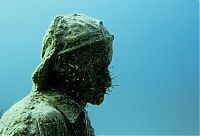 TopRq.com search results: artificial reef