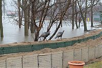 TopRq.com search results: 2011 Red River Flood, North Dakota, Minnesota, United States