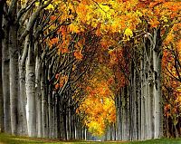 World & Travel: Nature landscapes by Lars Van De Goor