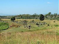 TopRq.com search results: The Plain of Jars, Laos