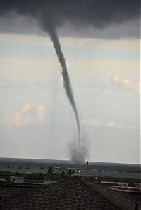 TopRq.com search results: hawaiian tornadoes