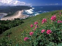 photos of beaches and shorelines