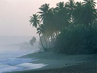 photos of beaches and shorelines