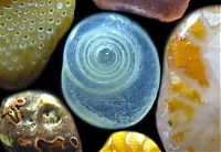 World & Travel: sand under a microscope