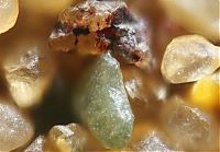 TopRq.com search results: sand under a microscope