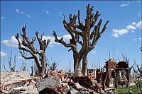 World & Travel: Pablo Novak, alone in the flooded town, Epecuen, Argentina