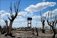 TopRq.com search results: Pablo Novak, alone in the flooded town, Epecuen, Argentina