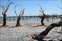World & Travel: Pablo Novak, alone in the flooded town, Epecuen, Argentina