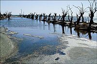 World & Travel: Pablo Novak, alone in the flooded town, Epecuen, Argentina