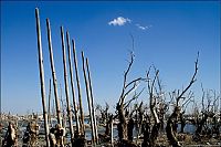 TopRq.com search results: Pablo Novak, alone in the flooded town, Epecuen, Argentina