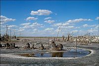 TopRq.com search results: Pablo Novak, alone in the flooded town, Epecuen, Argentina