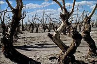 TopRq.com search results: Pablo Novak, alone in the flooded town, Epecuen, Argentina