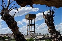 TopRq.com search results: Pablo Novak, alone in the flooded town, Epecuen, Argentina