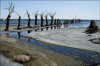 TopRq.com search results: Pablo Novak, alone in the flooded town, Epecuen, Argentina