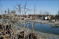 World & Travel: Pablo Novak, alone in the flooded town, Epecuen, Argentina