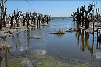 World & Travel: Pablo Novak, alone in the flooded town, Epecuen, Argentina