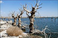 World & Travel: Pablo Novak, alone in the flooded town, Epecuen, Argentina