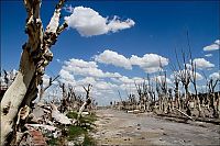 TopRq.com search results: Pablo Novak, alone in the flooded town, Epecuen, Argentina