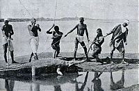 TopRq.com search results: History: Egypt