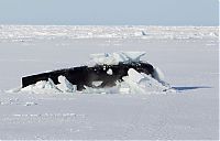 World & Travel: 2011 Applied Physics Laboratory Ice Station by Lucas Jackson