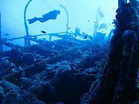 World & Travel: artificial reef