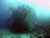 TopRq.com search results: artificial reef