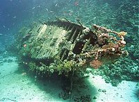 TopRq.com search results: artificial reef