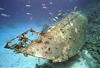 TopRq.com search results: artificial reef