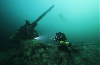 TopRq.com search results: artificial reef