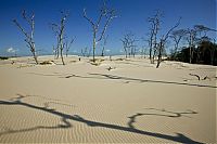 TopRq.com search results: Lençóis Maranhenses National Park, Maranhão, Brazil