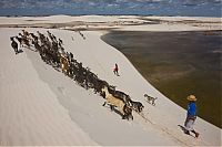 TopRq.com search results: Lençóis Maranhenses National Park, Maranhão, Brazil