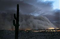 TopRq.com search results: Dust storm 2011, Phoenix, Arizona