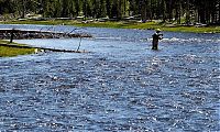 World & Travel: Yellowstone National Park, Wyoming, Idaho, Montana, United States