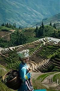 TopRq.com search results: paddy fields, rice terraces