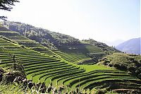 TopRq.com search results: paddy fields, rice terraces