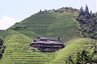 TopRq.com search results: paddy fields, rice terraces