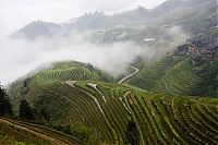 TopRq.com search results: paddy fields, rice terraces