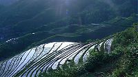 TopRq.com search results: paddy fields, rice terraces