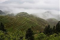 TopRq.com search results: paddy fields, rice terraces