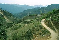 TopRq.com search results: paddy fields, rice terraces