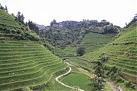 World & Travel: paddy fields, rice terraces