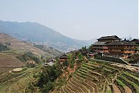 World & Travel: paddy fields, rice terraces