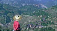 World & Travel: paddy fields, rice terraces