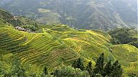 TopRq.com search results: paddy fields, rice terraces